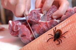 هشدار تب کریمه کنگو در آستانه عید قربان: مراقب بهداشت کشتار دام‌ها باشید