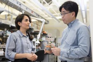 دانشمند ایرانی گیاه مصنوعی اختراع کرد؛ تصفیه هوای خانه و تولید برق هم‌زمان