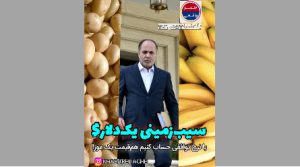 سیب‌زمینی به قیمت یک دلار؛ آیا این بحران غذاست یا مدیریت؟