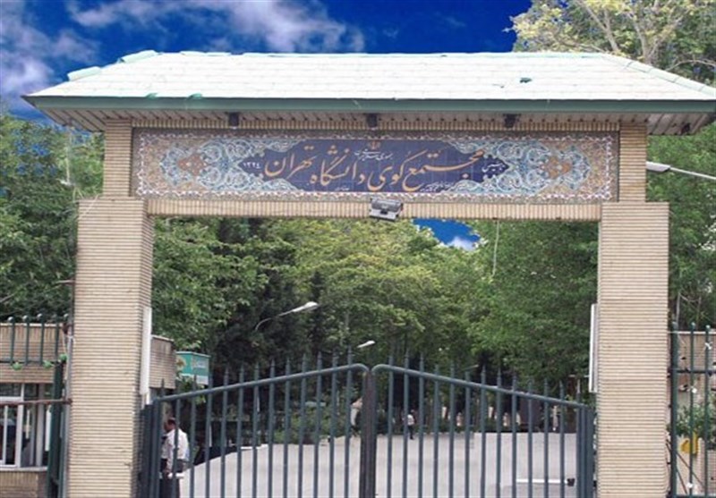 قتل دانشجوی دانشگاه تهران: مظنونین بازداشت شدند، اما قاتلان هنوز دستگیر نشدند