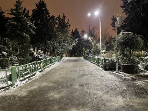 بارش برف در تهران امشب؛ احتمال سفیدپوش شدن پایتخت