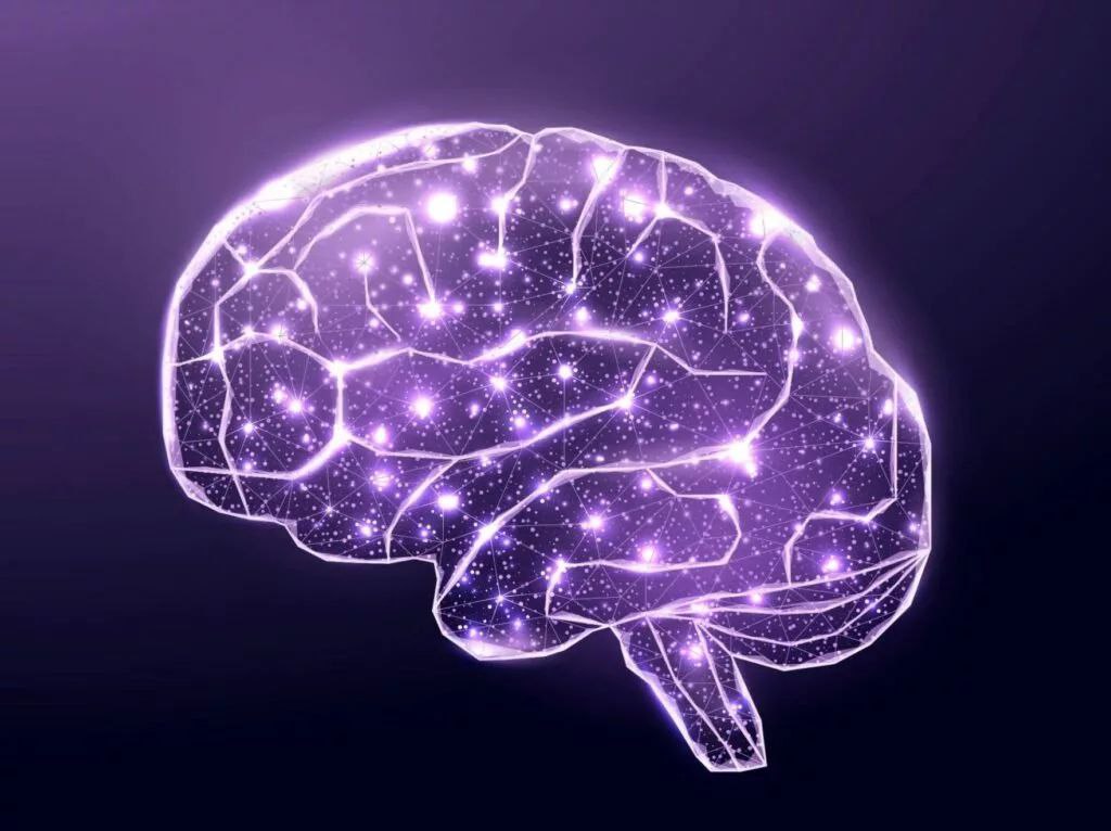 دانشمندان کشف کردند مغز چگونه آینده را پیش‌بینی می‌کند