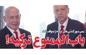 باب‌الممنوع ترکیه! یمن عبور کشتی‌های ترکیه را متوقف کند