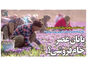 پایان عصر خام‌فروشی؟ طرح پالایشگاه‌های گیاهان دارویی روی میز دولت