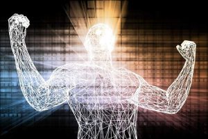 کشف مولکول ضد پیری: بتائین کلیه چگونه فواید ورزش را بدون تحرک شبیه‌سازی می‌کند؟