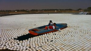 پوشش شناور سدها چقدر آب را از هدررفت نجات می‌دهد؟